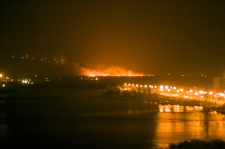 В Киевских болотах на Осокорках опять масштабный пожар