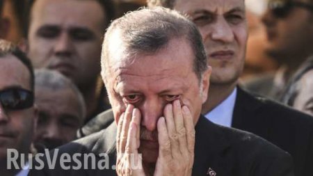 Турецкие обиды: Тиллерсону не удалось помириться с Эрдоганом