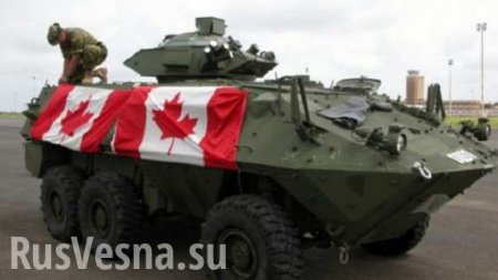 Канада начнет поставки оружия на Украину, — СМИ