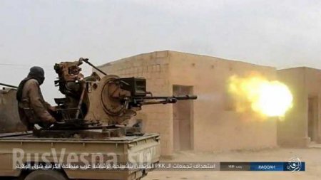 Бойня в Ракке: За один день операции США в боях с ИГИЛ убито и ранено более 100 американских союзников (ФОТО)
