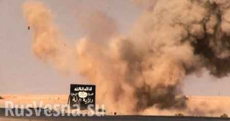 За секунды до смерти: 4-х террористов ИГИЛ глупо разорвало на части у блокпоста в Сирии (ВИДЕО)
