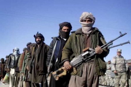 МИД России опроверг посещение военной делегацией РФ талибских лагерей в Северном Вазиристане