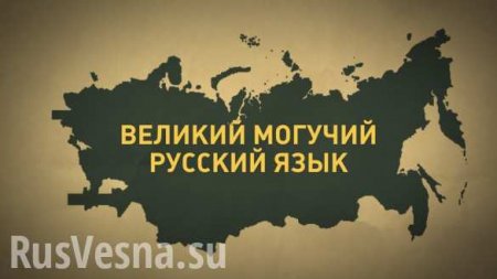«Снова это западло», — русский язык напал на украинскую националистку