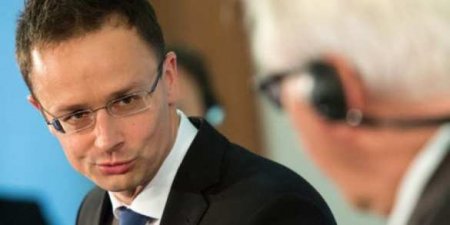 Будапешт выступает за возможность двойного гражданства венгров в Украине, — глава МИД Венгрии