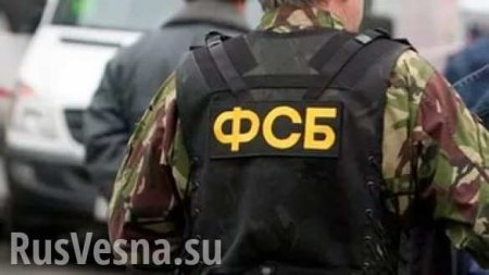 ВАЖНО: ФСБ пресекла крупный канал поставок оружия из Украины и Евросоюза