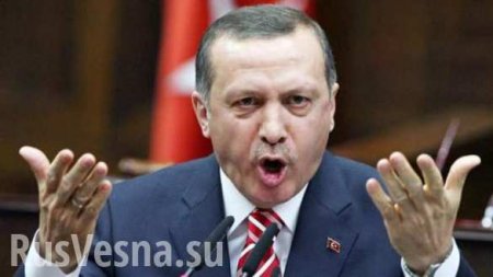 Турецкая лира взлетела на фоне триумфа Эрдогана