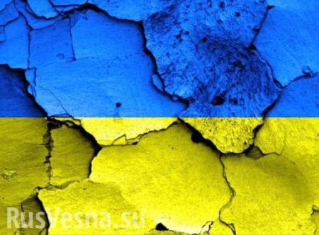 Что ждет Украину в ЕС (ВИДЕО)