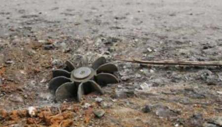С апреля 2014 года в зоне боевых действий на Донбассе на минах подорвался 151 ребенок