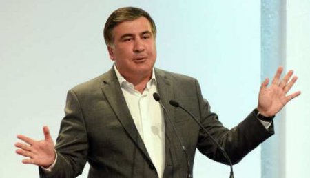 Саакашвили заявил, что создал новую «Партию регионов»