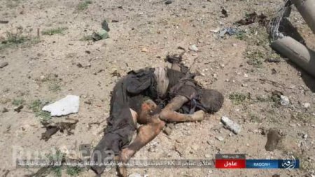 Бойня в Ракке: Боевики ИГИЛ вырезали 2 заставы проамериканских сил у реки Евфрат (ФОТО, ВИДЕО 18+)