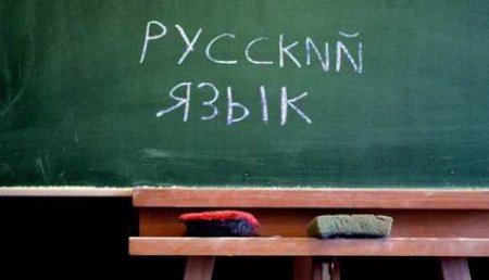 В России необходимо стандартизировать нормы русского языка