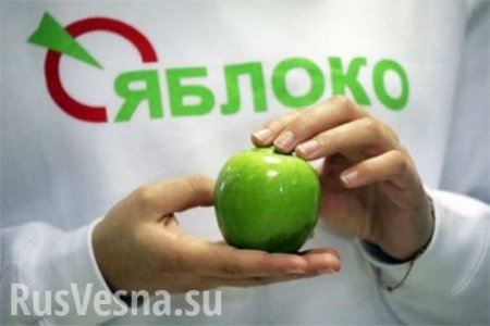 В Москве напали на активистку «Яблока»