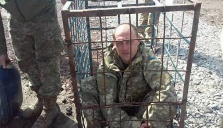 Можно кормить: под Харьковом бойцов ВСУ наказывали, запирая в клетки