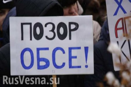 Сволочи! Желаю, чтобы ваши дети гибли, как гибнут наши внуки, — жительница Донбасса высказала ОБСЕ всё, что думает (ВИДЕО)