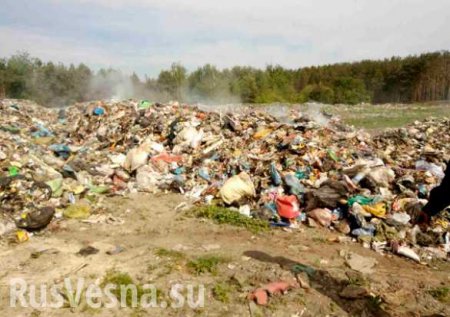 Типичная Украина: львовский мусор тайком выбросили в Житомирской области (ФОТО)