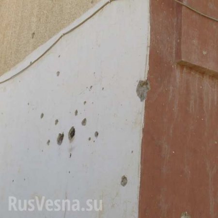 Жизнь под огнем боевиков: Выходцы из России — черкесы Сирии (ФОТО, ВИДЕО)