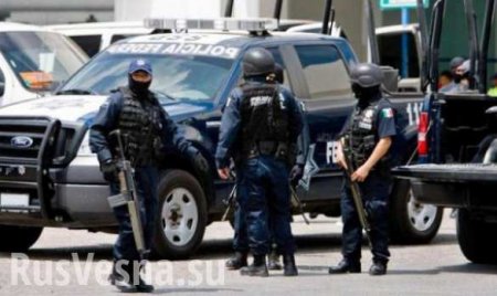 20 мексиканских полицейских пострадали из-за «наци» Макеева