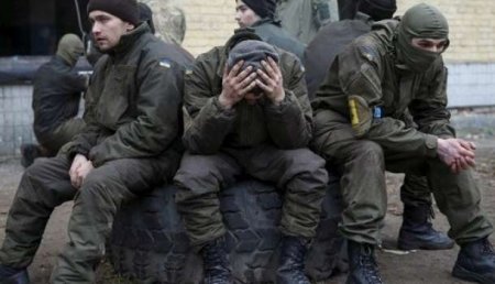 НМ ЛНР: СБУ завела уголовные дела на офицеров ВСУ за вывоз оружия из зоны «АТО»
