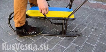 На санках в мае: в Харькове произошла комичная кража (ФОТО)