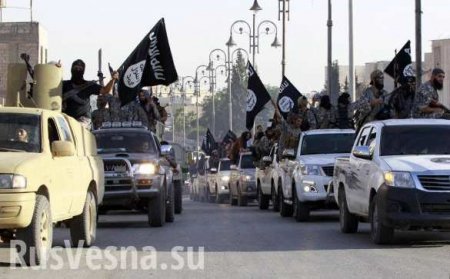 СРОЧНО: ВКС России уничтожили огромную колонну ИГИЛ в Сирии — впечатляющие кадры (ВИДЕО)
