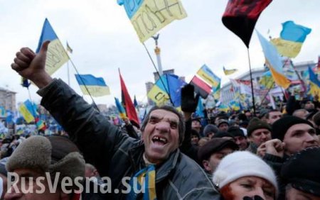 ЕС ждет притока трудовых мигрантов из Украины