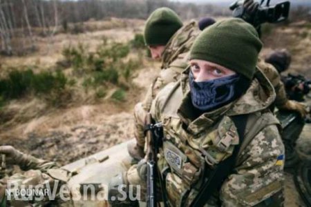 В ДНР разоблачили организацию, помогавшую ВСУ совершать теракты в Республике