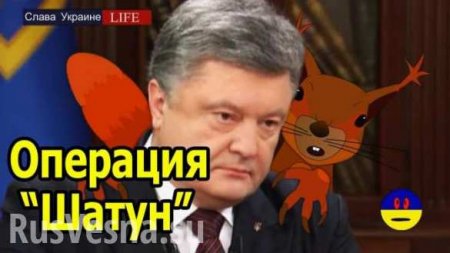Украинский патриот рассказал о замене плана «Шатун» (ВИДЕО18+)