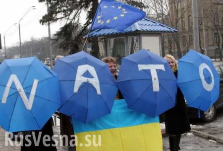 ОФИЦИАЛЬНО: Вступление в НАТО обозначено целью внешней политики Украины