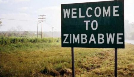 Зимбабвийский инвестор: На Украине у бывшего налоговика изъяли 50 миллиардов долларов Зимбабве