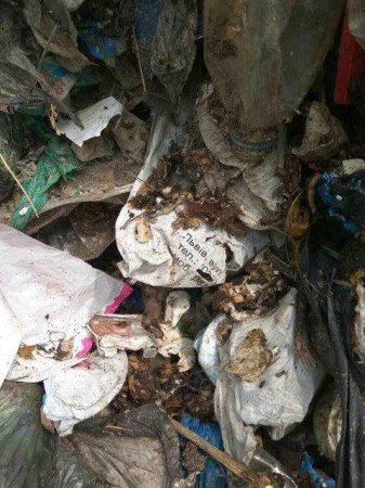 От всей души: Под Киевом незаконно сбросили 60 тонн львовского мусора