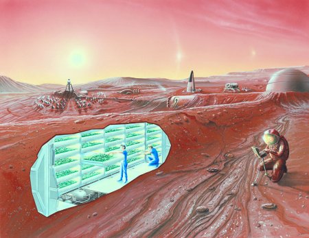Космический университет человечества: Марс как экзамен (ФОТО, ВИДЕО)