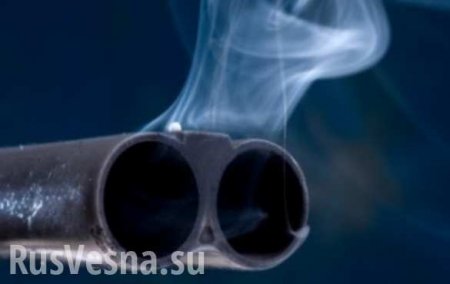 Стрельба в Подмосковье: преступник ранил трёх прохожих (ВИДЕО)