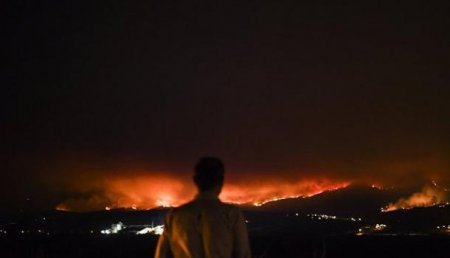Посольство призывает россиян избегать районов Португалии, охваченных пожарами