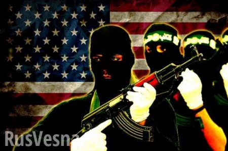 «США поддерживают террористов»: представитель ВС Ирана рассказал о ситуации на Ближнем Востоке