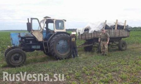 Двое украинцев везли в Россию три тонны мяса на тракторе (ФОТО)