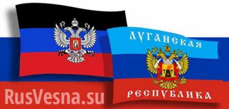 Как расценивать флаги ДНР и ЛНР в «Артеке»? (ФОТО, ВИДЕО)