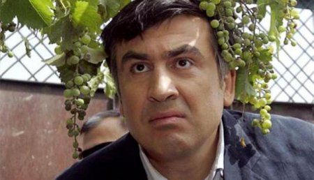 Саакашвили обвинил Порошенко в незаконной торговле с Абхазией