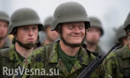 Солдаты НАТО задержаны в Литве за драку из-за неоплаченного счета