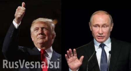 В Совфеде результаты встречи Путина и Трампа назвали прорывом