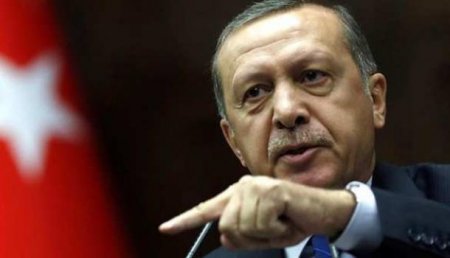 Эрдоган заявил, что Германия совершает политическое самоубийство