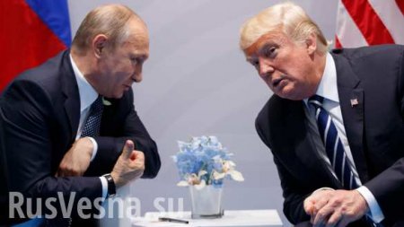 Взгляды сильных мужчин: на чем сошлись Путин и Трамп (ФОТО)