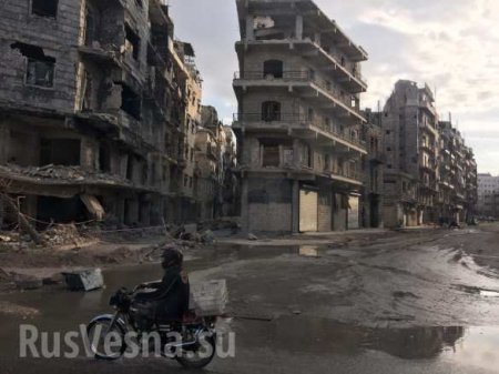 «Русская Весна» в Алеппо: город к бою готов (ФОТО)