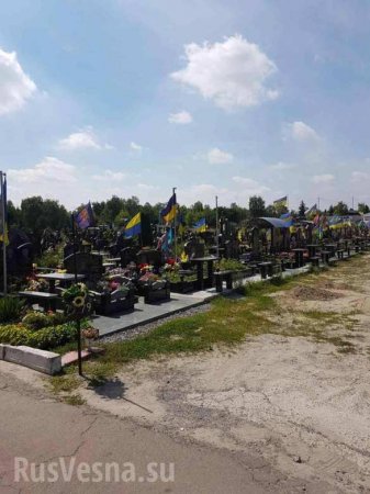 Думаете, всё хорошо? — украинцы в шоке от количества новых могил «атошников» в Киеве (ФОТО)