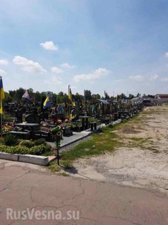 Думаете, всё хорошо? — украинцы в шоке от количества новых могил «атошников» в Киеве (ФОТО)