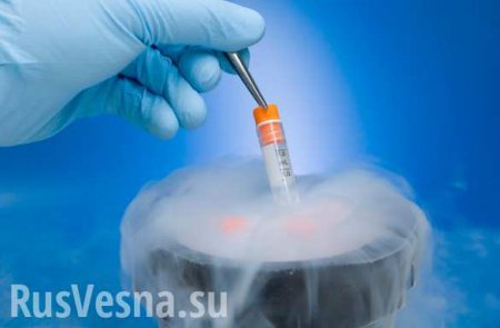 Биологи впервые заморозили эмбрион и вернули его к жизни (ВИДЕО)