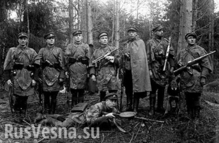 «Лесные братья», прославляемые НАТО, убили в Прибалтике 80% евреев, — эксперт