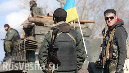 Украина не готова воевать с Донбассом, — замминистра (ВИДЕО)