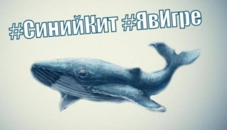 Администратор группы «Синий кит» в соцсети Филипп Лис отправлен в колонию на три года