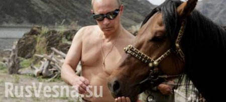 Украина после выполнения «Минска-2», или троянский конь Путина