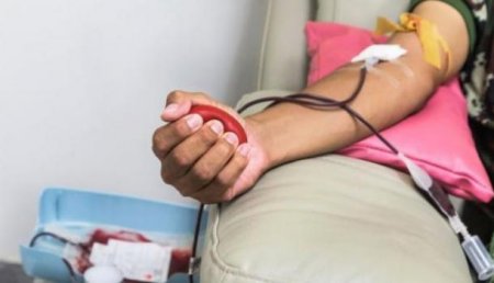 В Англии упрощают донорство крови для геев и секс-работников